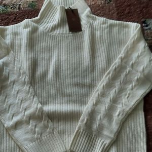 Oversized Cashmere Turtleneck Sweater